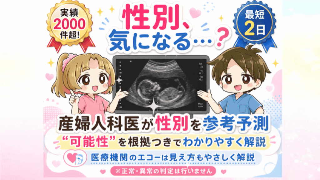 【現役産婦人科医解説】エコーで赤ちゃんの性別が分かる仕組みと見分け方｜医師が「本当に見ている場所」と週数別の判明確率